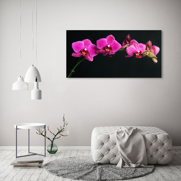 Bild auf leinwand Orchidee
