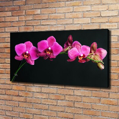 Bild auf leinwand Orchidee