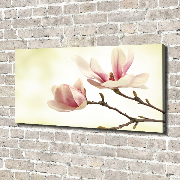 Wandbild Magnolie