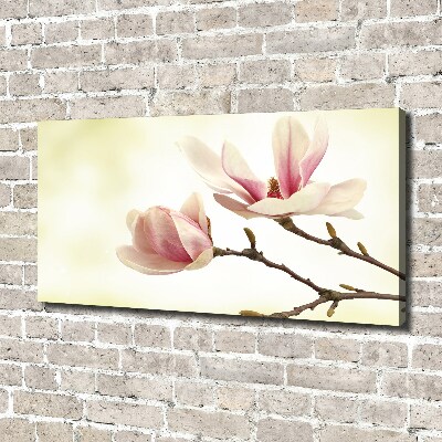 Wandbild Magnolie