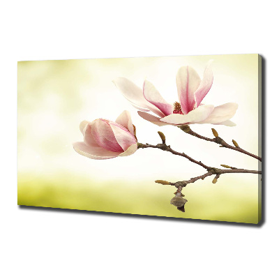 Wandbild Magnolie