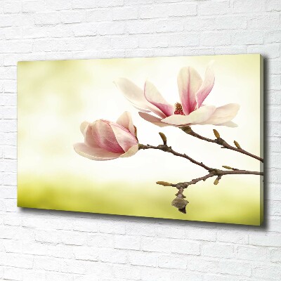 Wandbild Magnolie