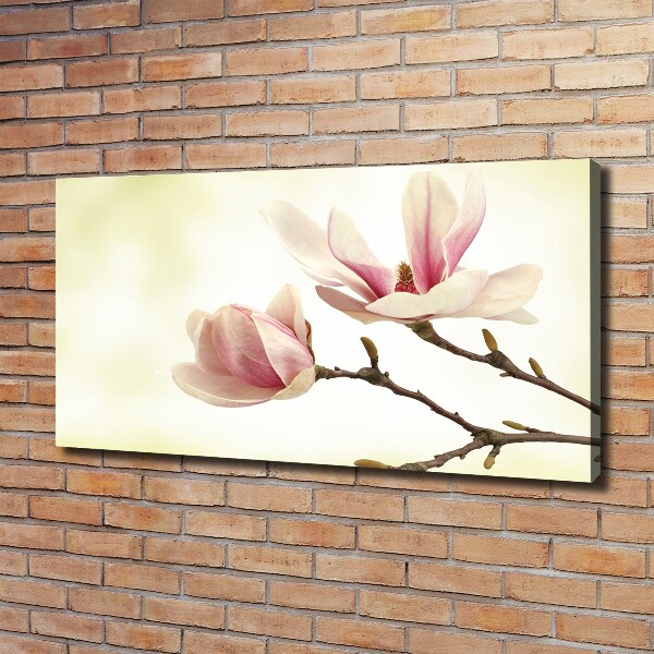 Wandbild Magnolie