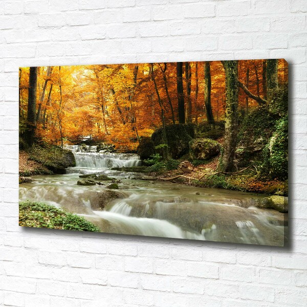Wandbild Wasserfall im Wald
