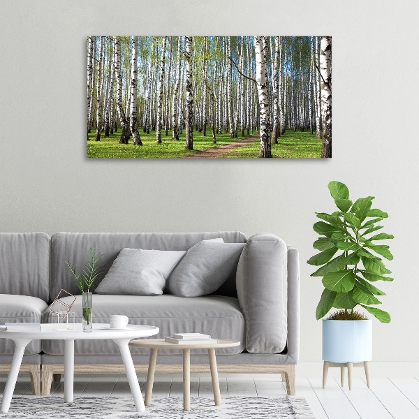Wandbild Birkenwald