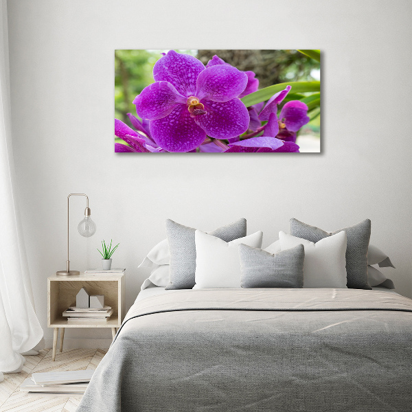 Bild auf leinwand Orchidee