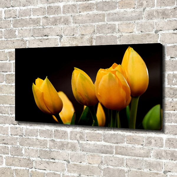 Bild auf leinwand Gelbe Tulpen