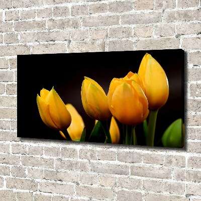 Bild auf leinwand Gelbe Tulpen