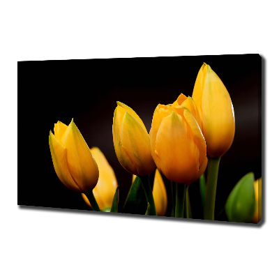 Bild auf leinwand Gelbe Tulpen