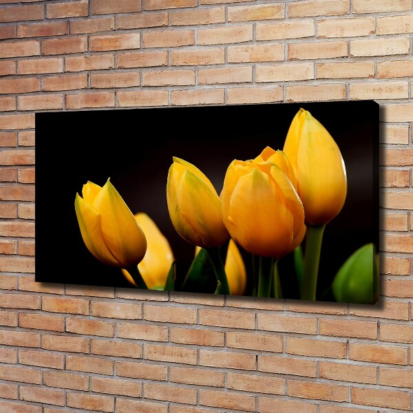 Bild auf leinwand Gelbe Tulpen