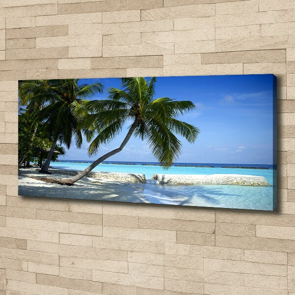 Bild auf leinwand Tropischer Strand