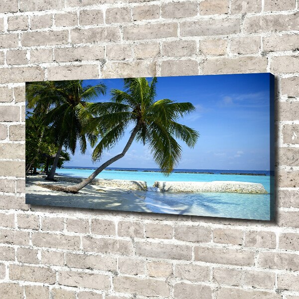 Bild auf leinwand Tropischer Strand