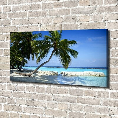 Bild auf leinwand Tropischer Strand