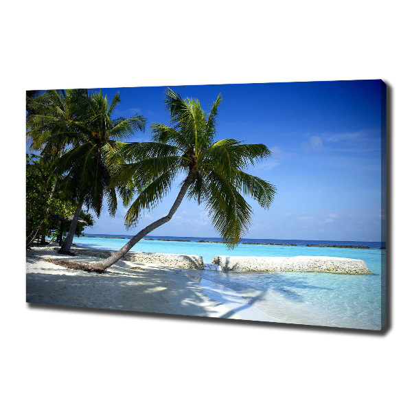 Bild auf leinwand Tropischer Strand