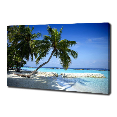 Bild auf leinwand Tropischer Strand
