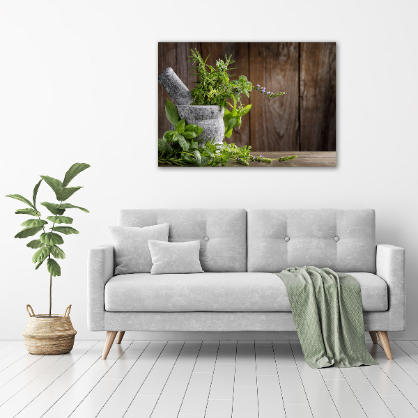 Fotobild Kräuter im Mörser