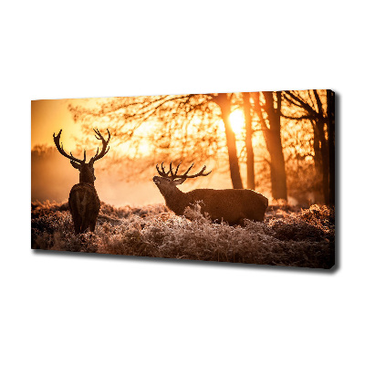 Bild auf leinwand Hirsch-Sonnenaufgang