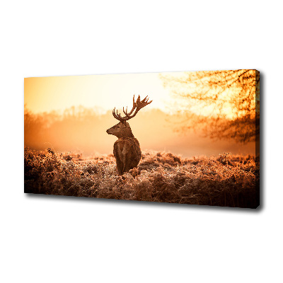 Wandbild Hirsch-Sonnenaufgang