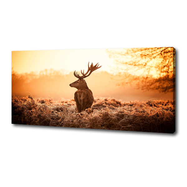 Wandbild Hirsch-Sonnenaufgang