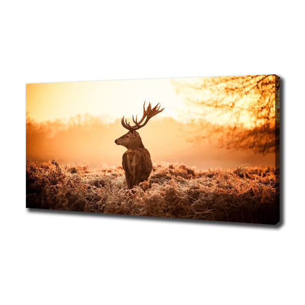 Wandbild Hirsch-Sonnenaufgang