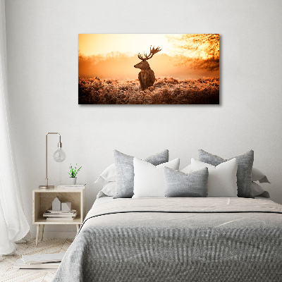 Wandbild Hirsch-Sonnenaufgang