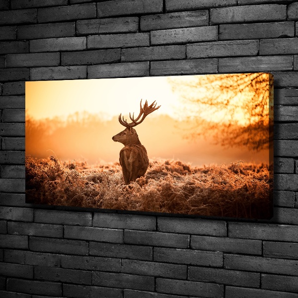 Wandbild Hirsch-Sonnenaufgang