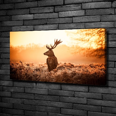 Wandbild Hirsch-Sonnenaufgang