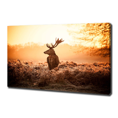 Wandbild Hirsch-Sonnenaufgang