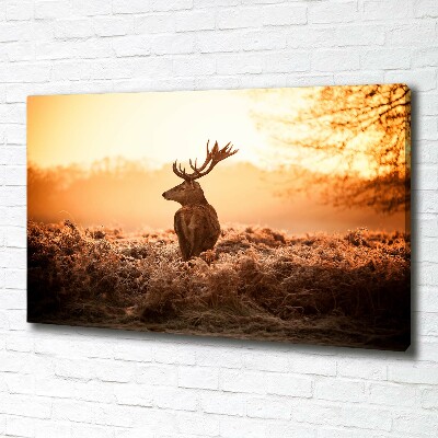 Wandbild Hirsch-Sonnenaufgang