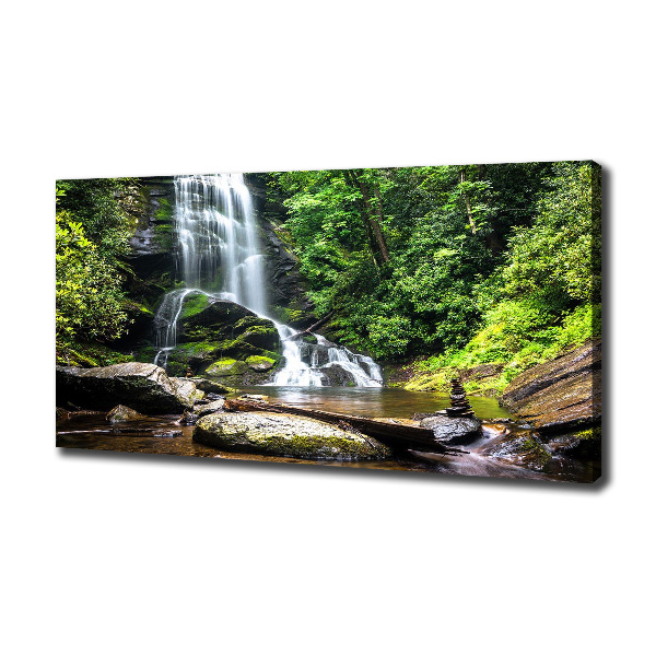 Bild auf leinwand Wasserfall im Wald