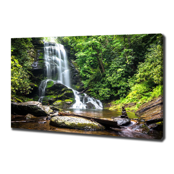 Bild auf leinwand Wasserfall im Wald