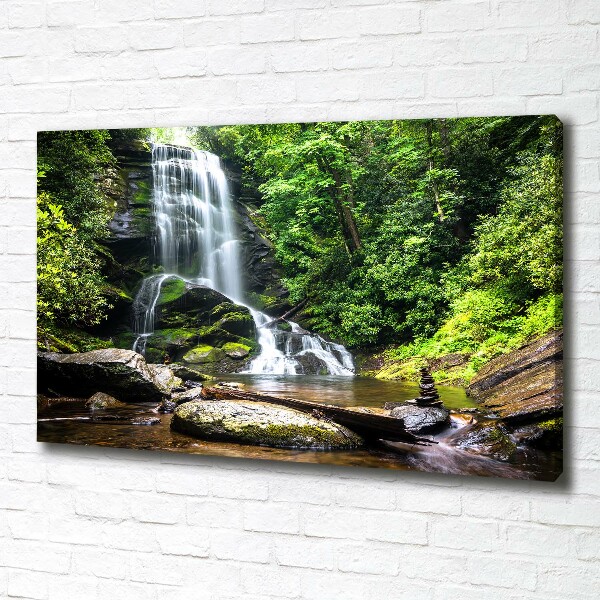 Bild auf leinwand Wasserfall im Wald