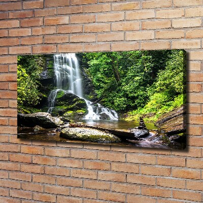 Bild auf leinwand Wasserfall im Wald