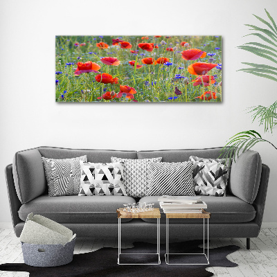 Fotobild Wildblumen
