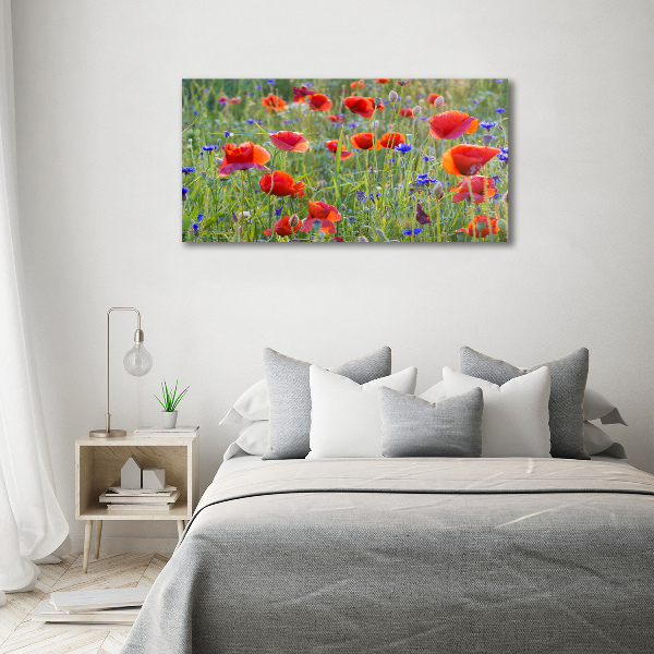 Fotobild Wildblumen