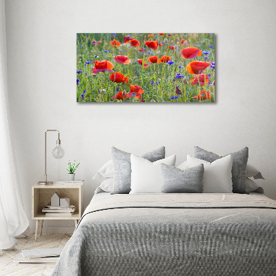Fotobild Wildblumen