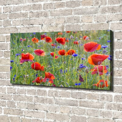 Fotobild Wildblumen