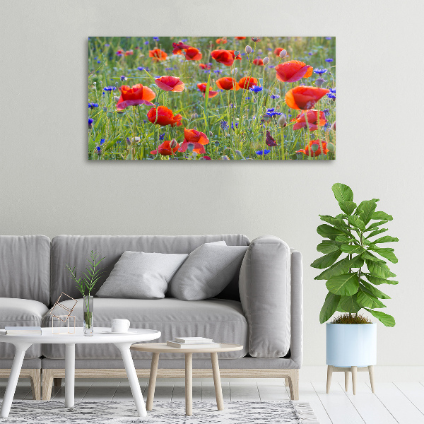 Fotobild Wildblumen