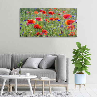 Fotobild Wildblumen