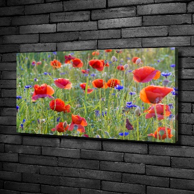 Fotobild Wildblumen