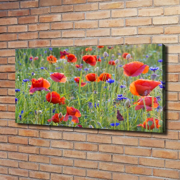 Fotobild Wildblumen