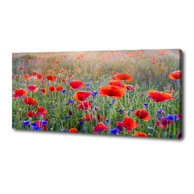 Bild auf leinwand Wildblumen