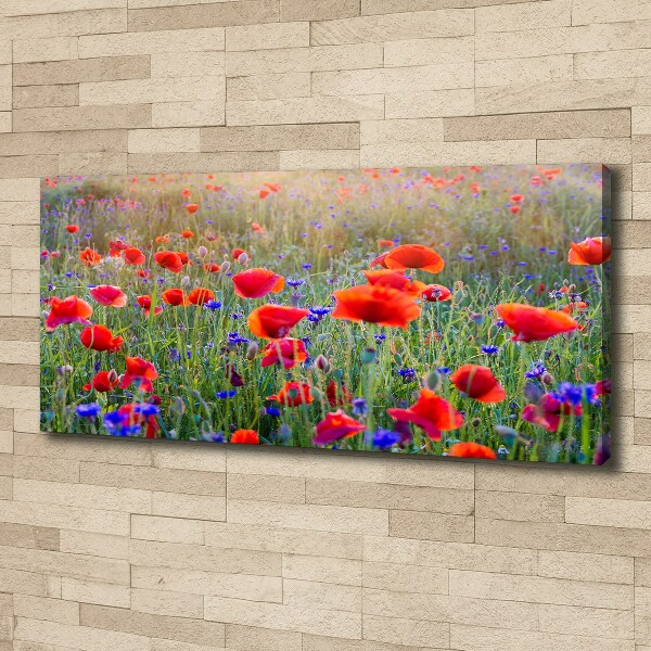 Bild auf leinwand Wildblumen