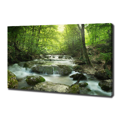 Fotobild Wasserfall im Wald