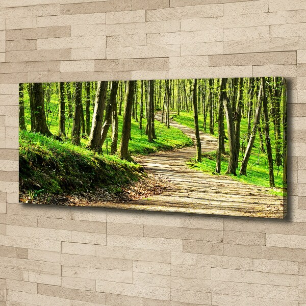 Bild auf leinwand Pfad im Wald