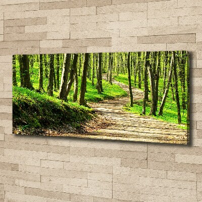 Bild auf leinwand Pfad im Wald