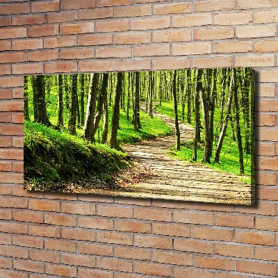 Bild auf leinwand Pfad im Wald