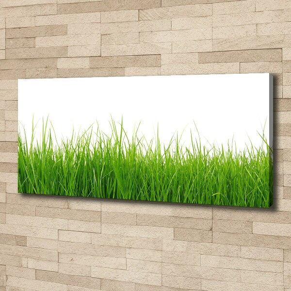 Bild auf leinwand Gras