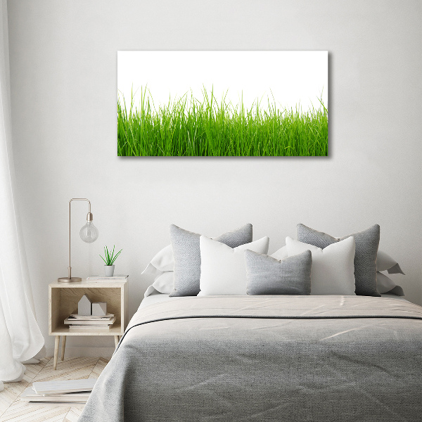 Bild auf leinwand Gras