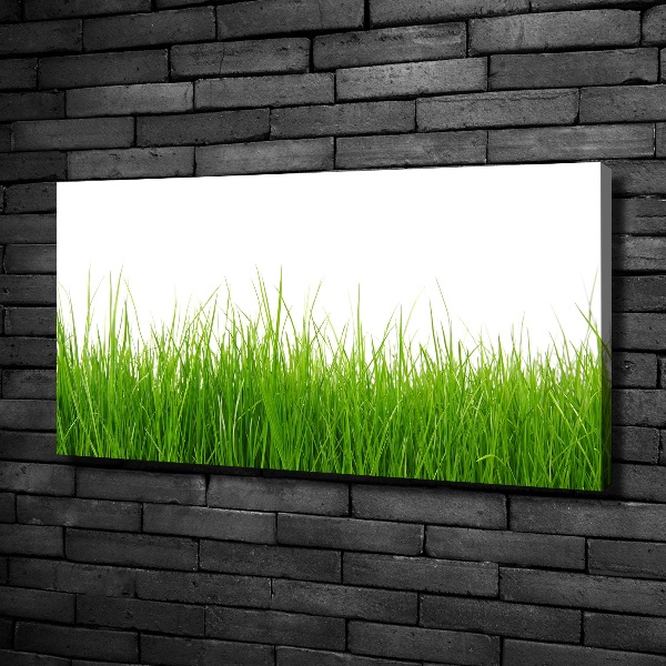 Bild auf leinwand Gras